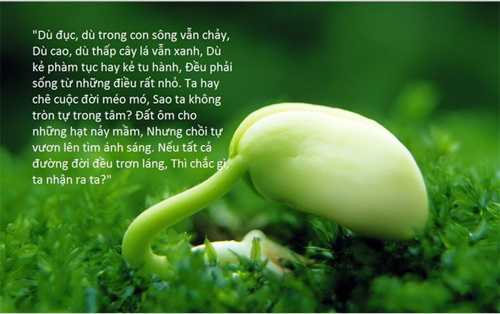 Hình Nền Ý Nghĩa Cho Máy Tính