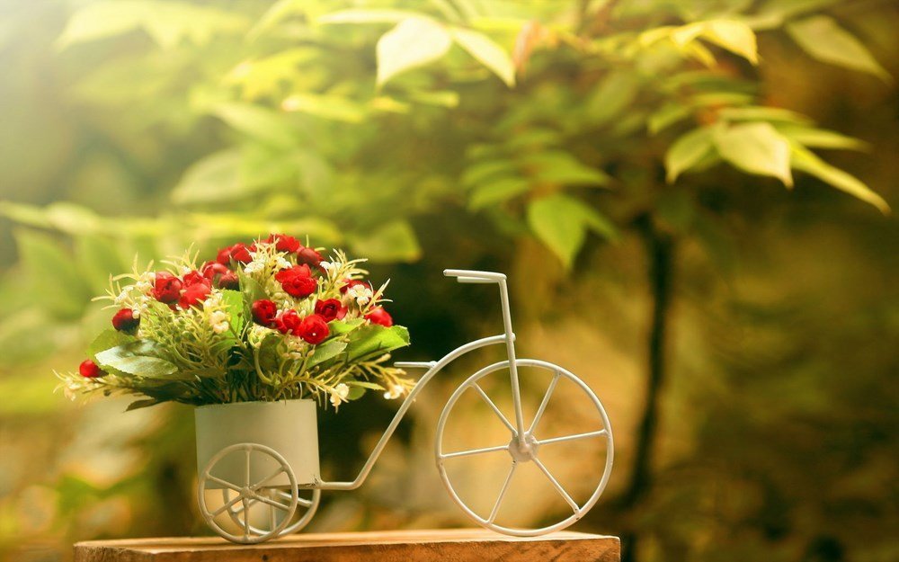 Hình Nền Ý Nghĩa Cho Máy Tính